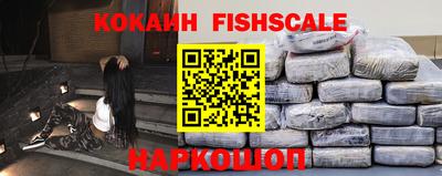 крисы Новодвинск