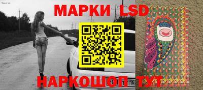 крисы Новодвинск