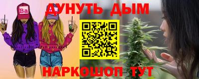 крисы Новодвинск