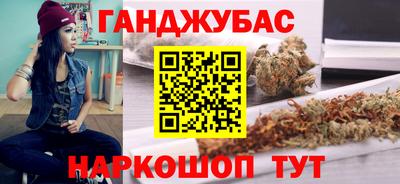 крисы Новодвинск