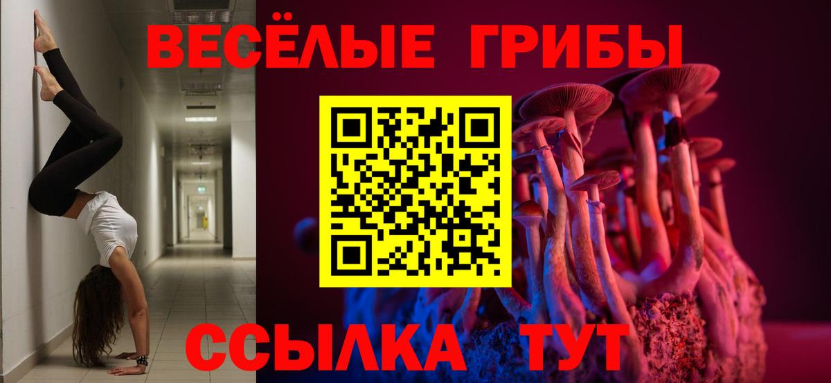 Псилоцибиновые грибы MAGIC MUSHROOMS Строитель
